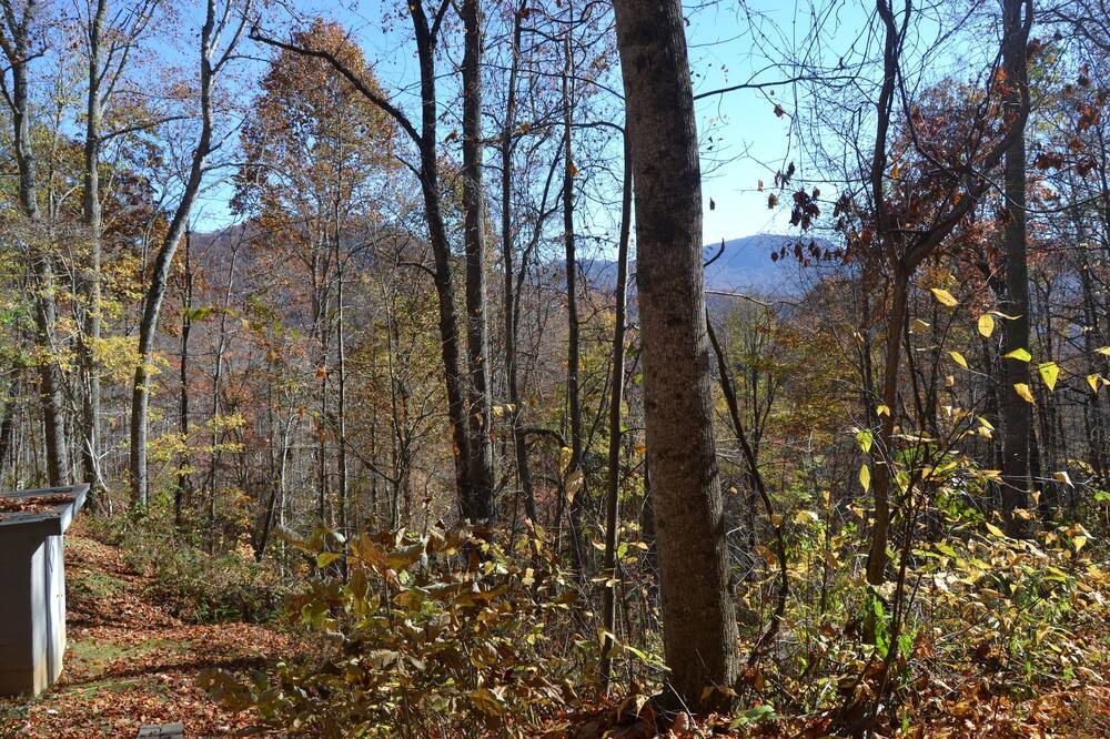 Photo of Outdoor in Franklin
