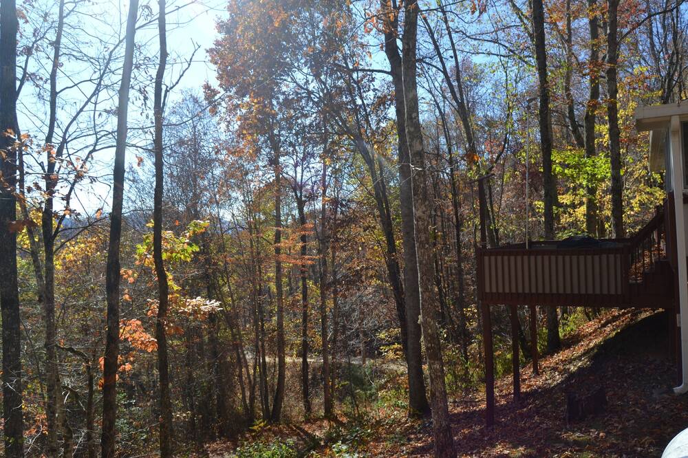 Photo of Outdoor in Franklin