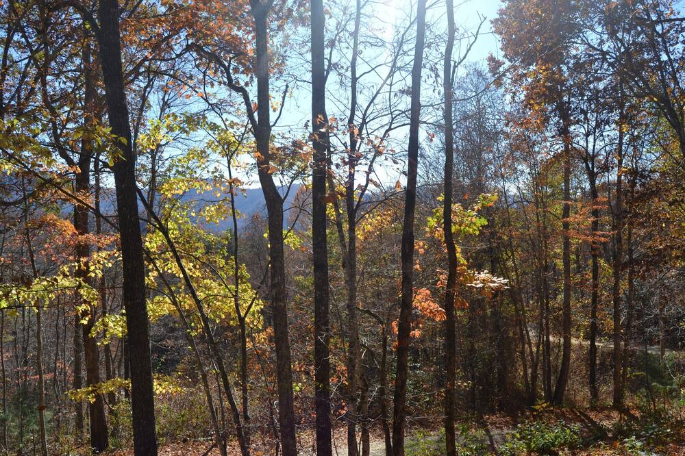 Photo of Outdoor in Franklin
