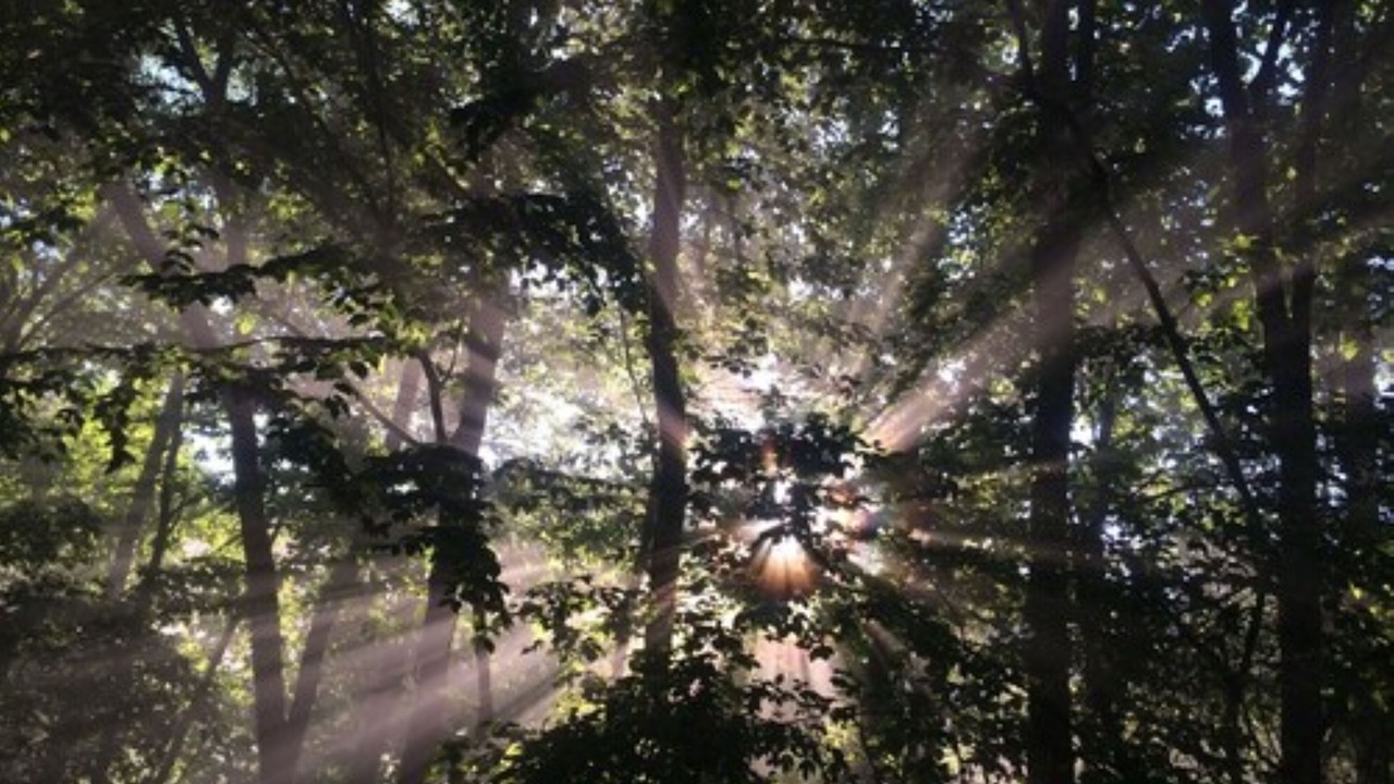 Photo of Outdoor in Baisden