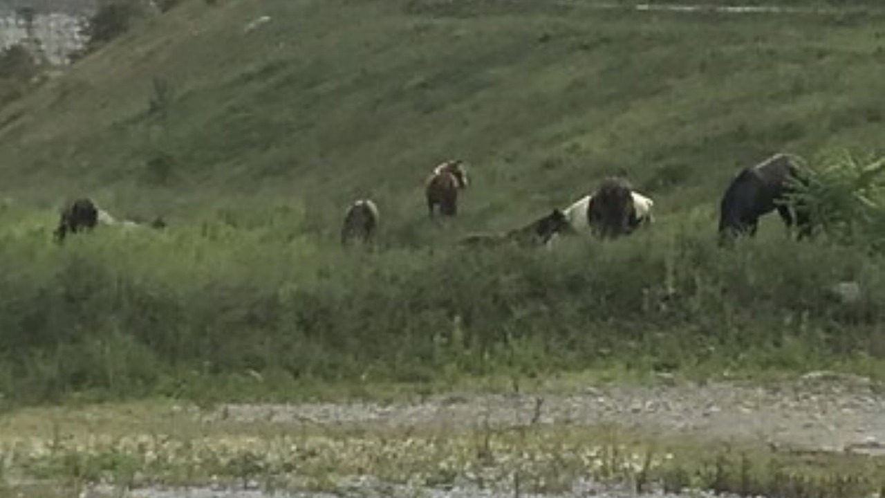 Photo of Outdoor in Baisden