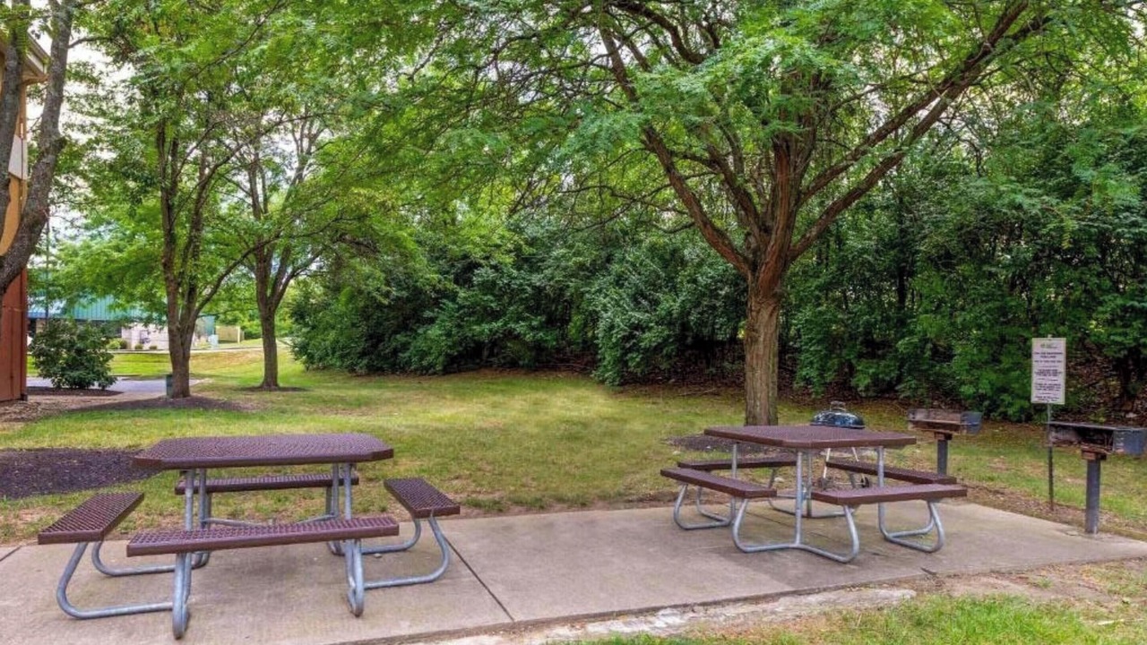 Photo of Outdoor in Parkdale