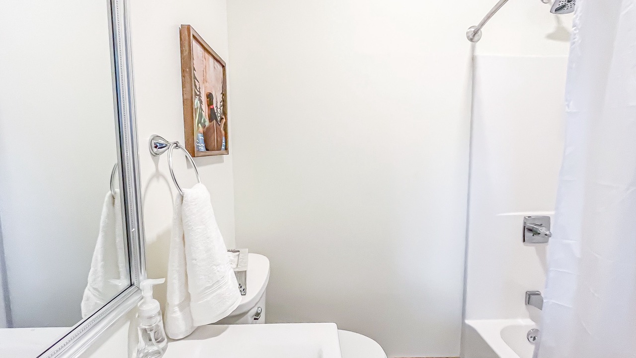 Photo of Bathroom in Swanton