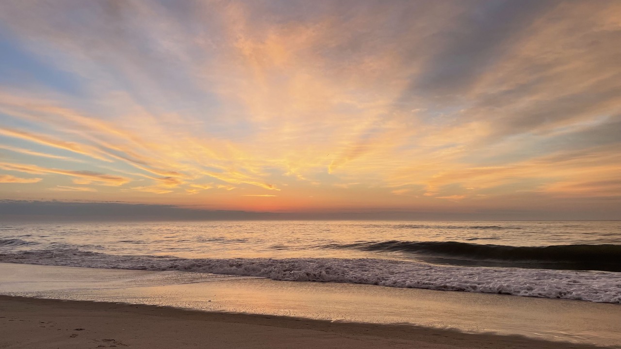 Photo of Others in Carolina Beach