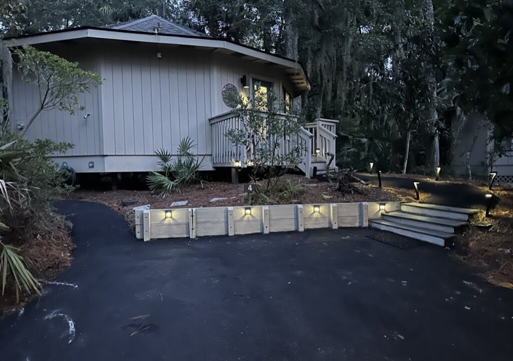 Photo of Outdoor in Night Heron