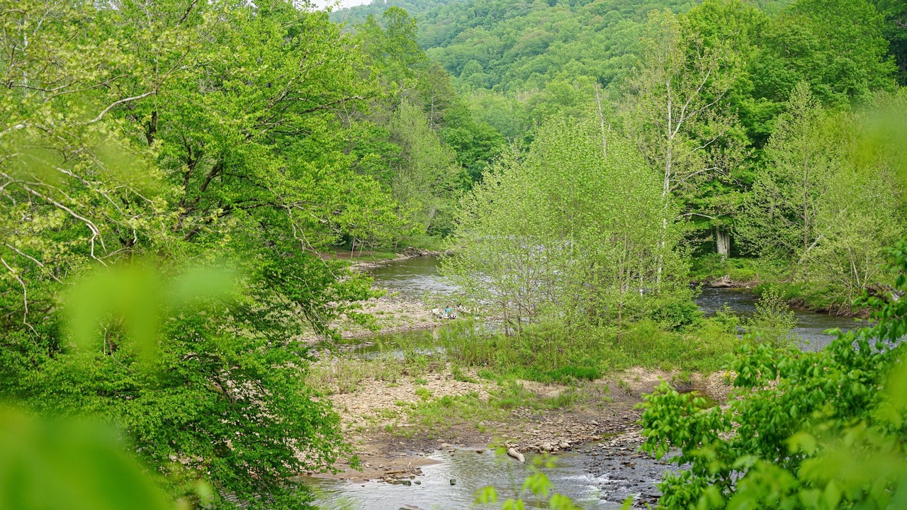 Photo of Outdoor in Leadsville