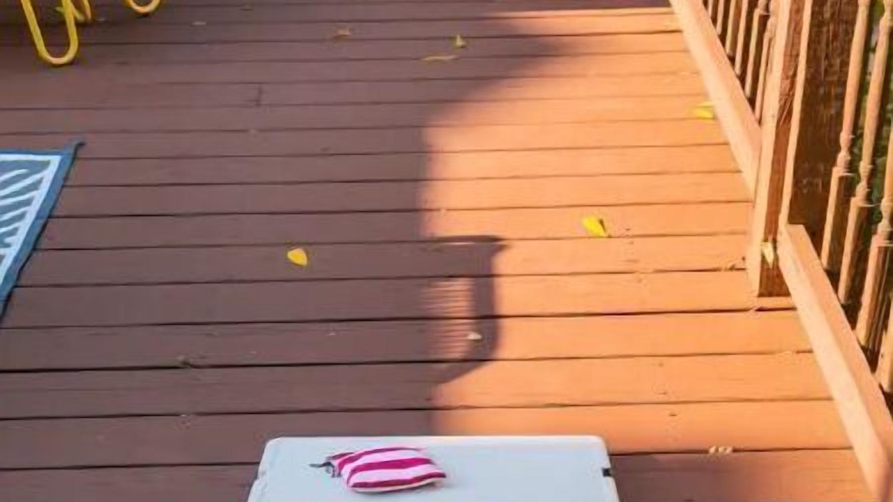 Photo of Patio Balcony in East Nashville