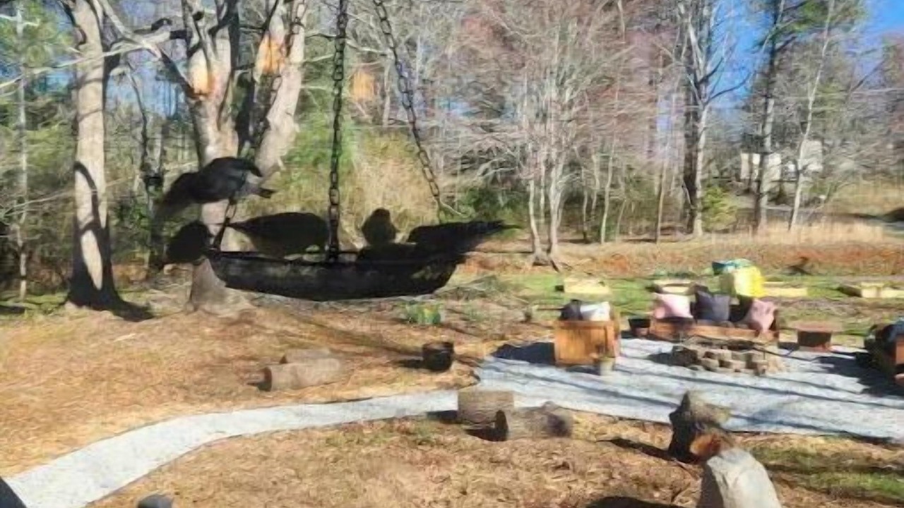 Photo of Others in Pisgah Forest