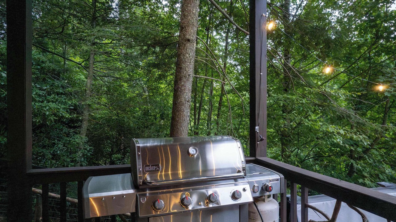 Photo of Outdoor in Cashiers