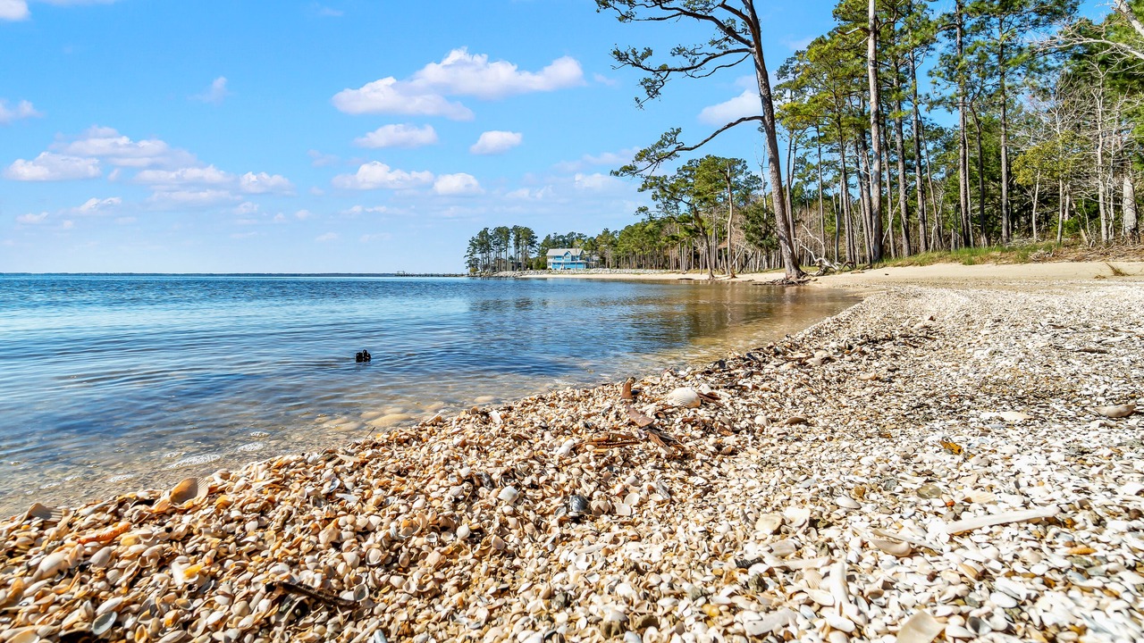 Photo of Others in Minnesott Beach