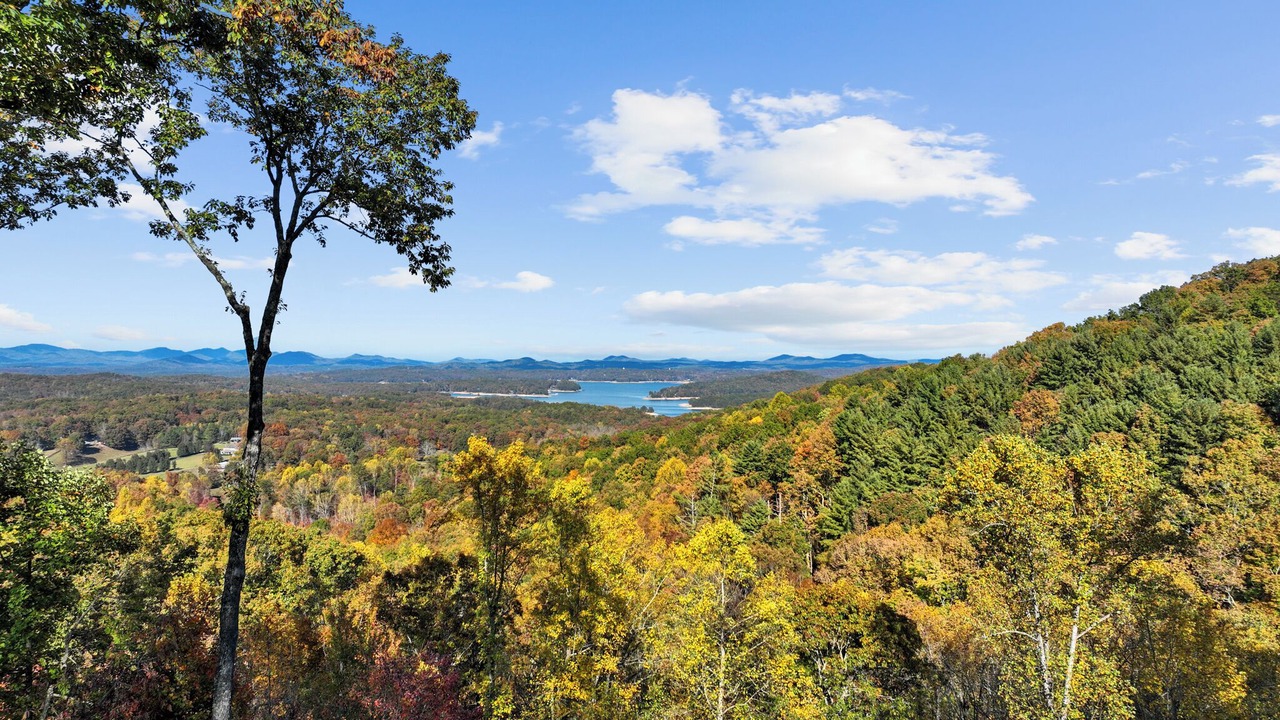 Photo of Outdoor in Blue Ridge