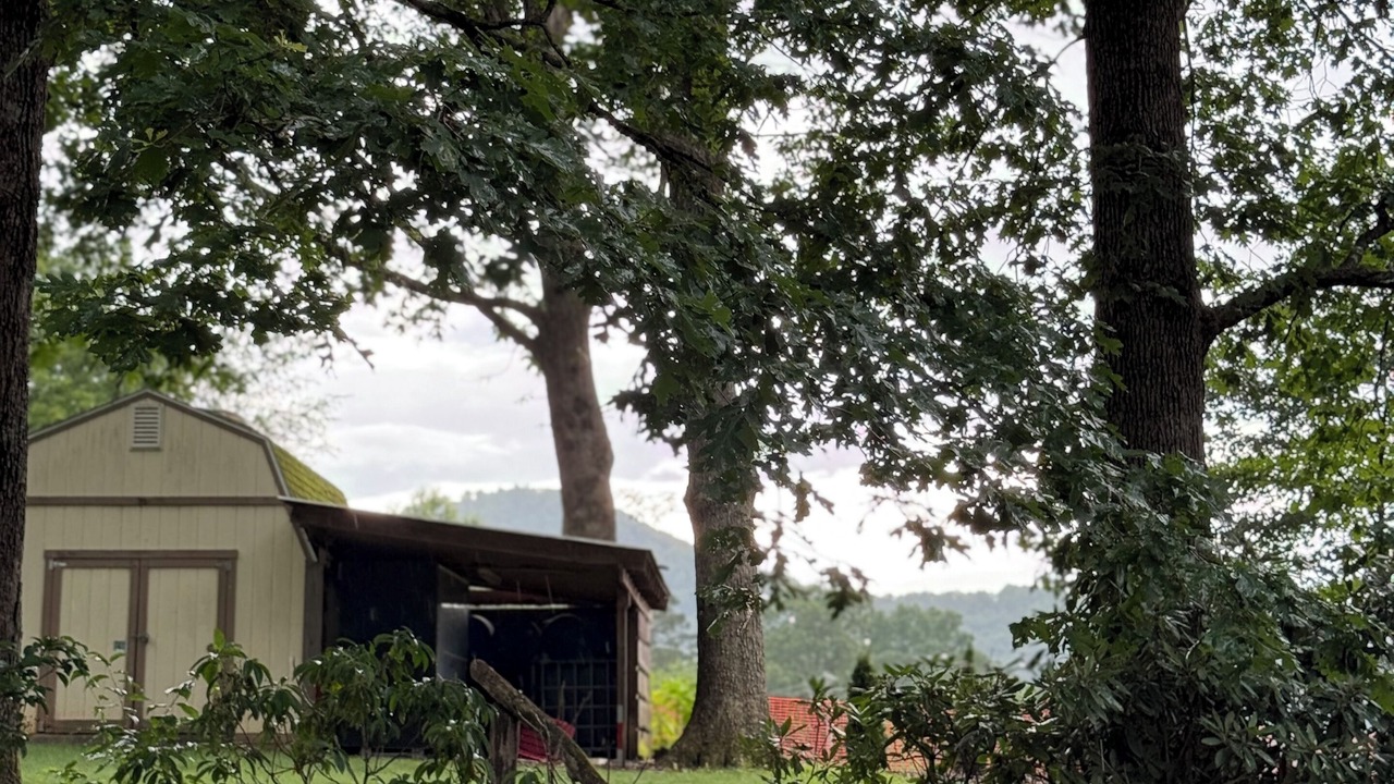 Photo of Outdoor in Arden