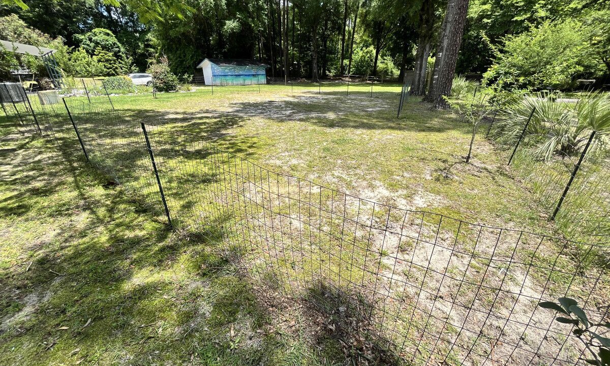 Photo of Outdoor in Conway