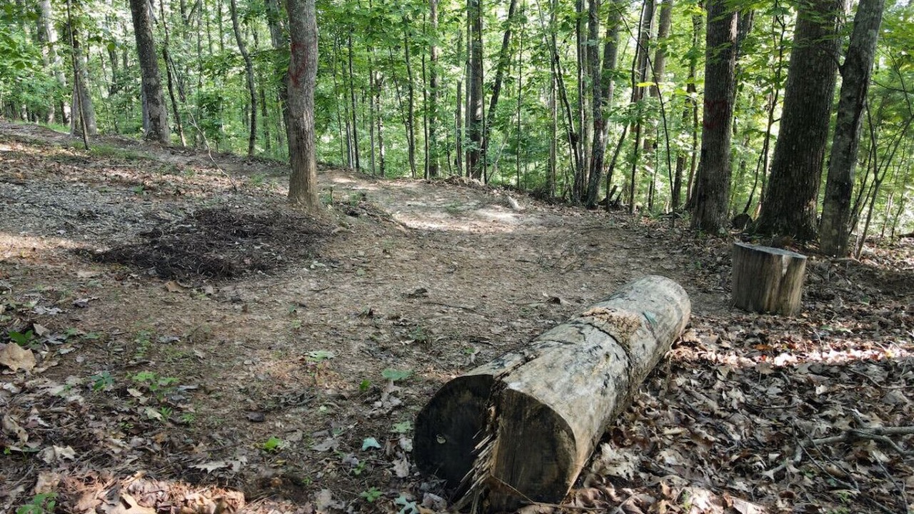Photo of Outdoor in Blairsville
