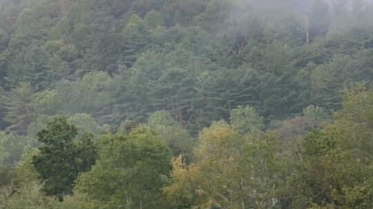 Photo of Others in Hiawassee