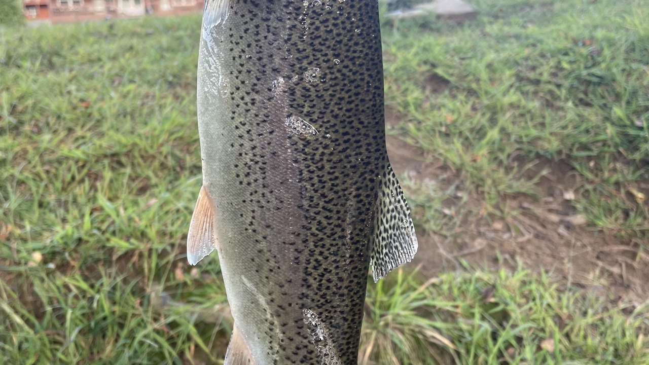 Photo of Outdoor in Hiawassee