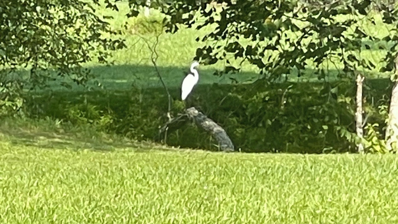 Photo of Others in Hiawassee