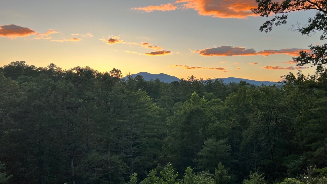 Photo of Others in Lake Lure