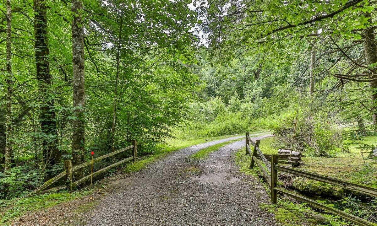 Photo of Others in Ellijay