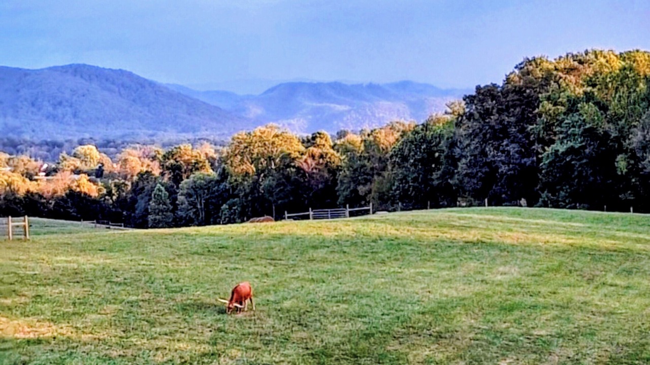 Photo of Others in Jonesborough