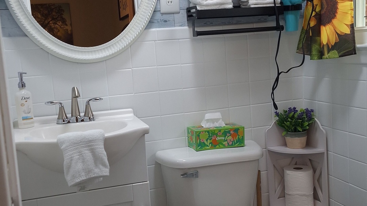 Photo of Bathroom in Jonesborough