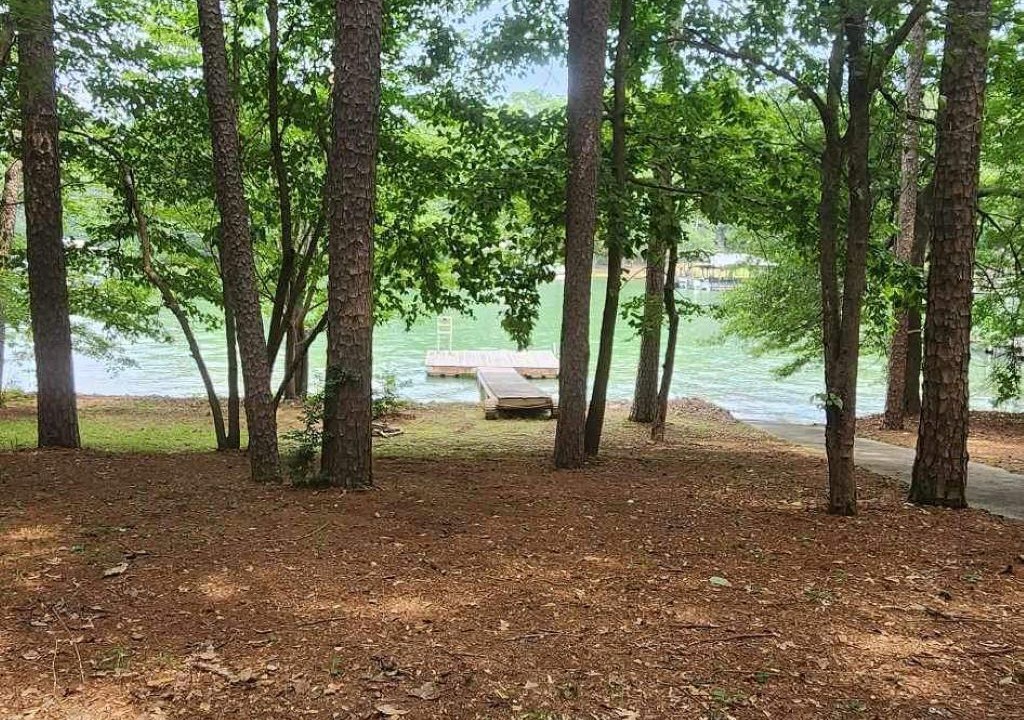 Photo of Others in Martin