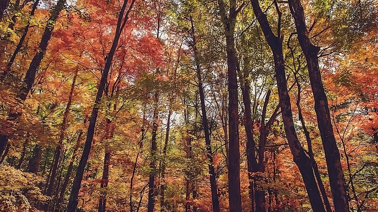 Photo of Others in Twin Brook