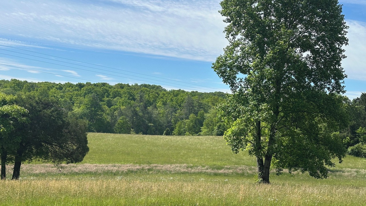 Photo of Others in Grandview