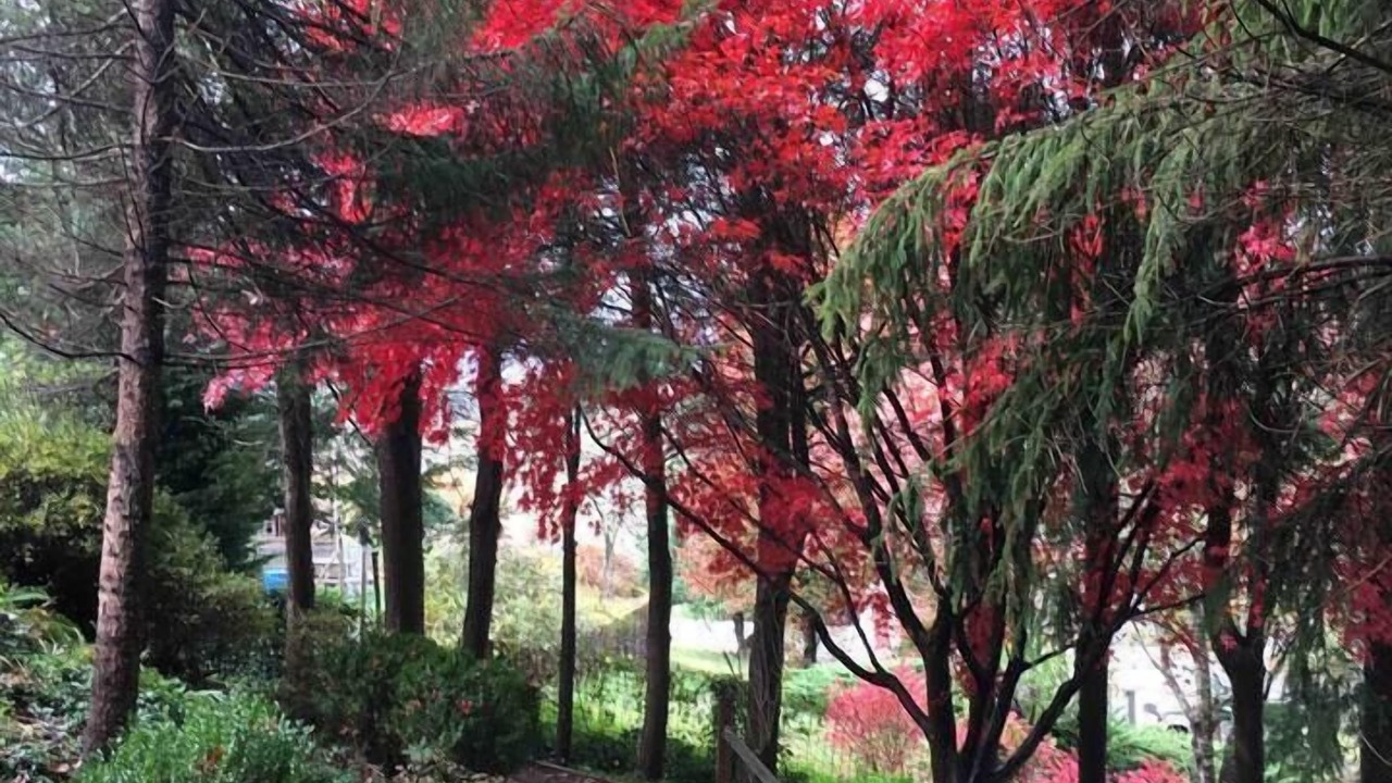 Photo of Outdoor in Canton