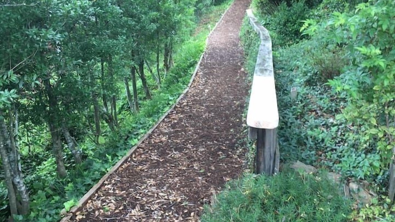 Photo of Outdoor in Canton