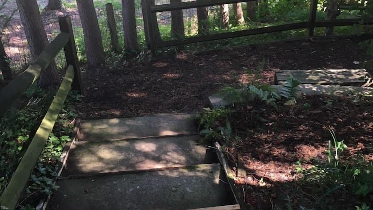 Photo of Outdoor in Canton