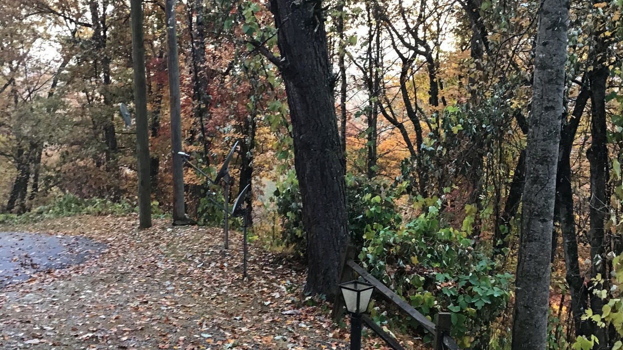 Photo of Others in Bryson City