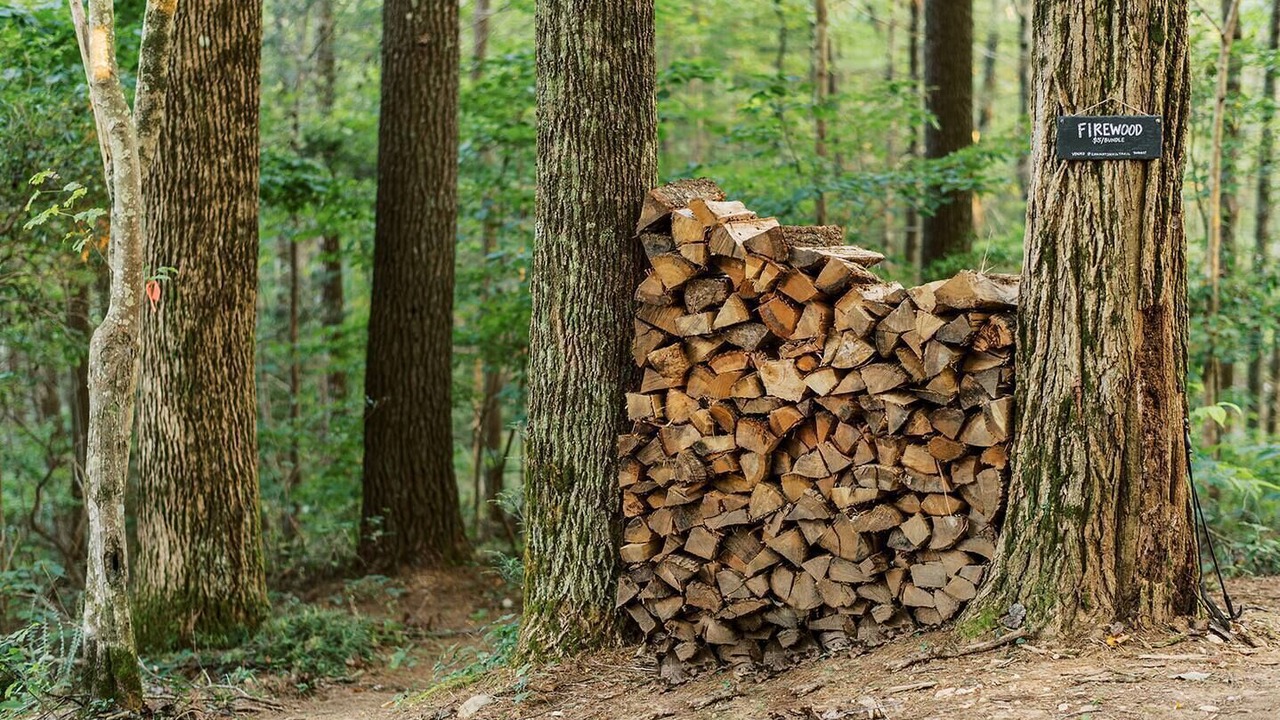 Photo of Others in Cherry Log