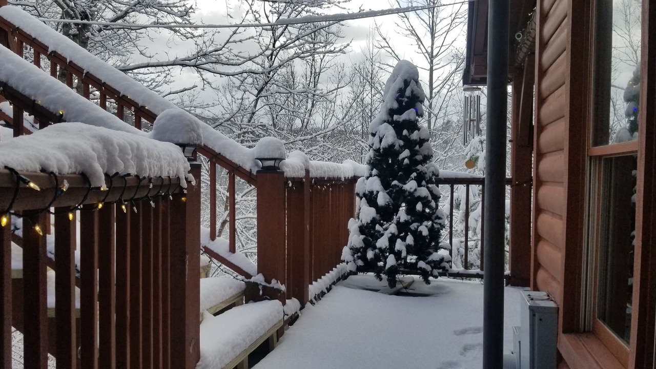 Photo of Outdoor in Townsend