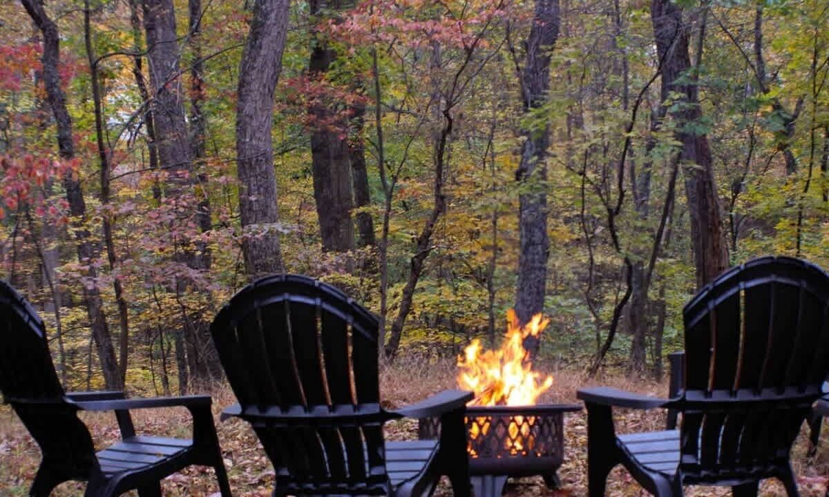 Photo of Others in The Woods