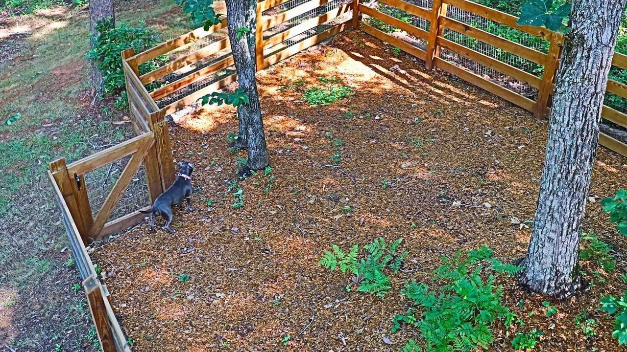 Photo of Outdoor in Clarkesville