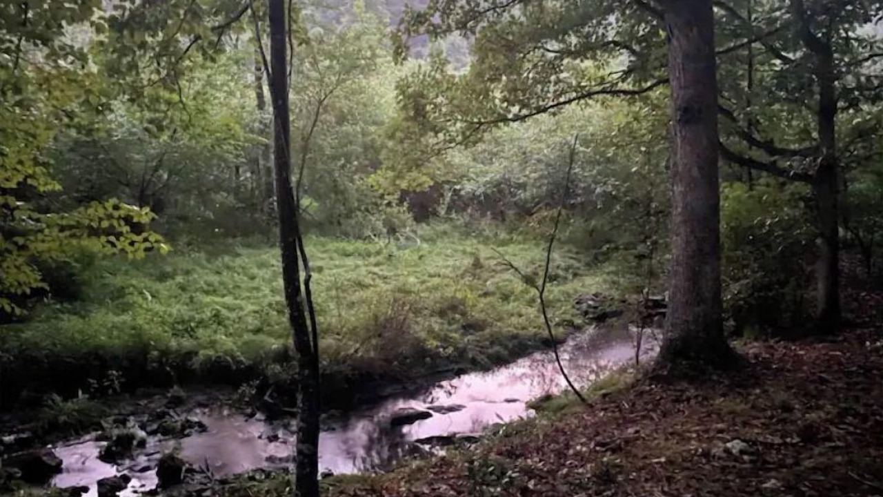 Photo of Outdoor in Wardensville