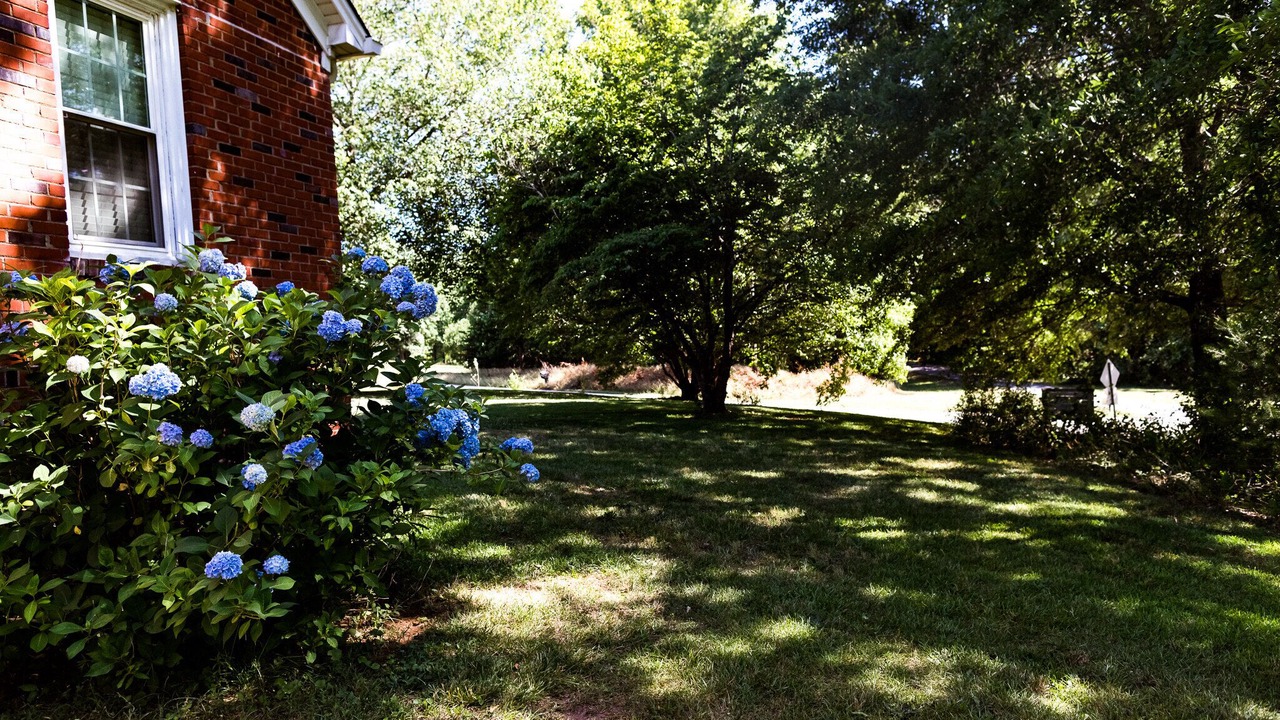 Photo of Outdoor in Travelers Rest