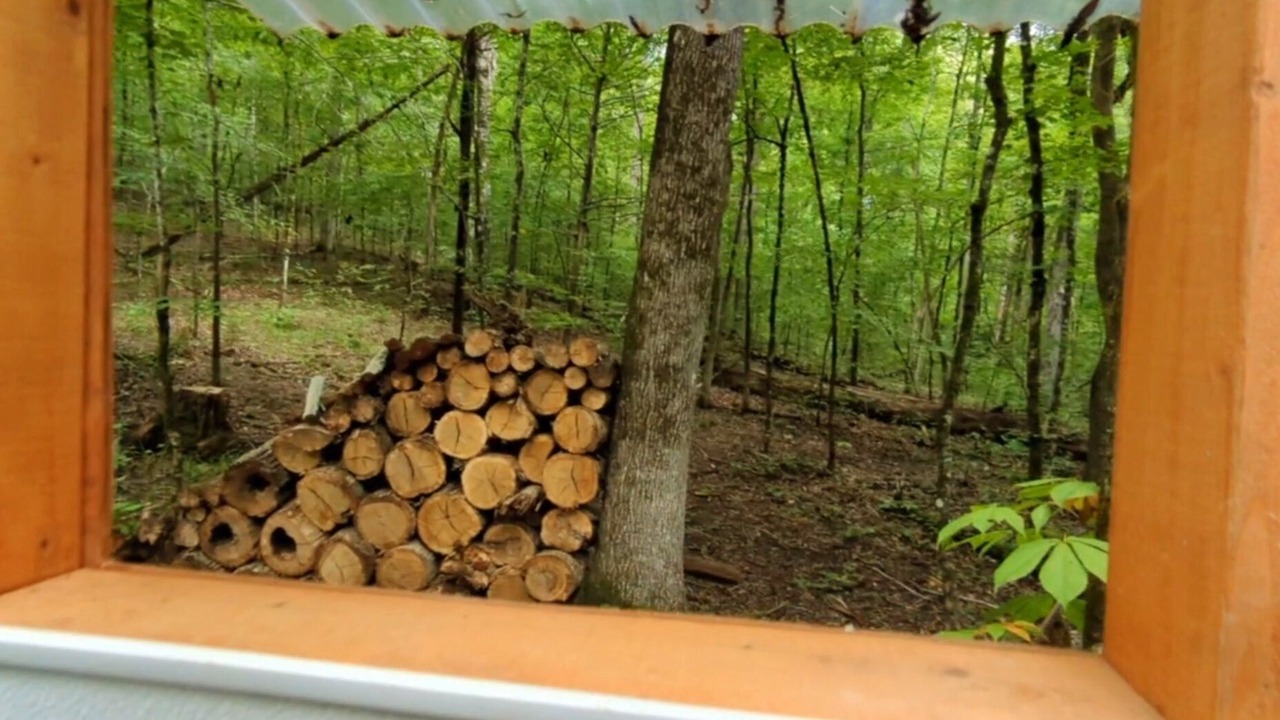 Photo of Others in Sevierville