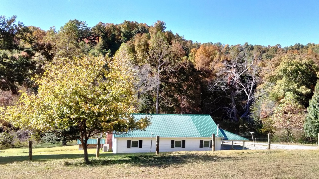 Photo of Outdoor in Olive Hill