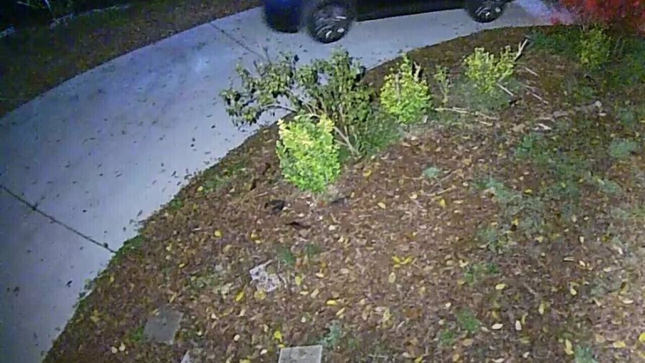 Photo of Outdoor in Nashville