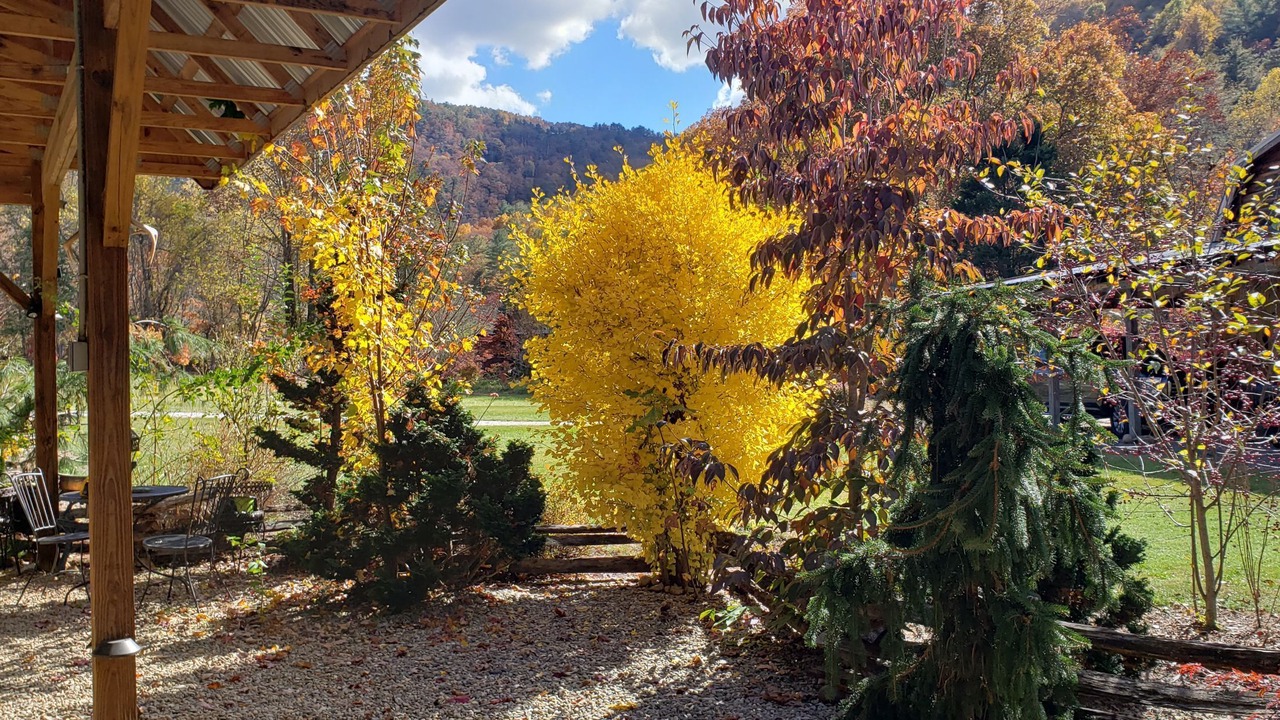 Photo of Outdoor in Highlands