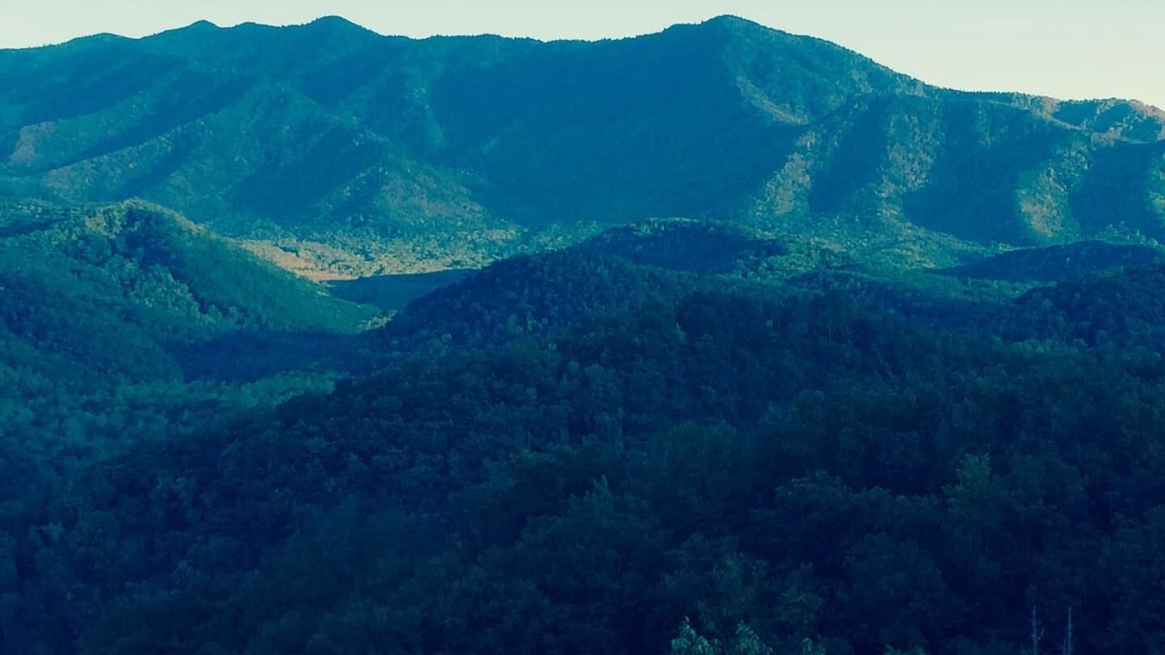 Photo of Others in Pigeon Forge