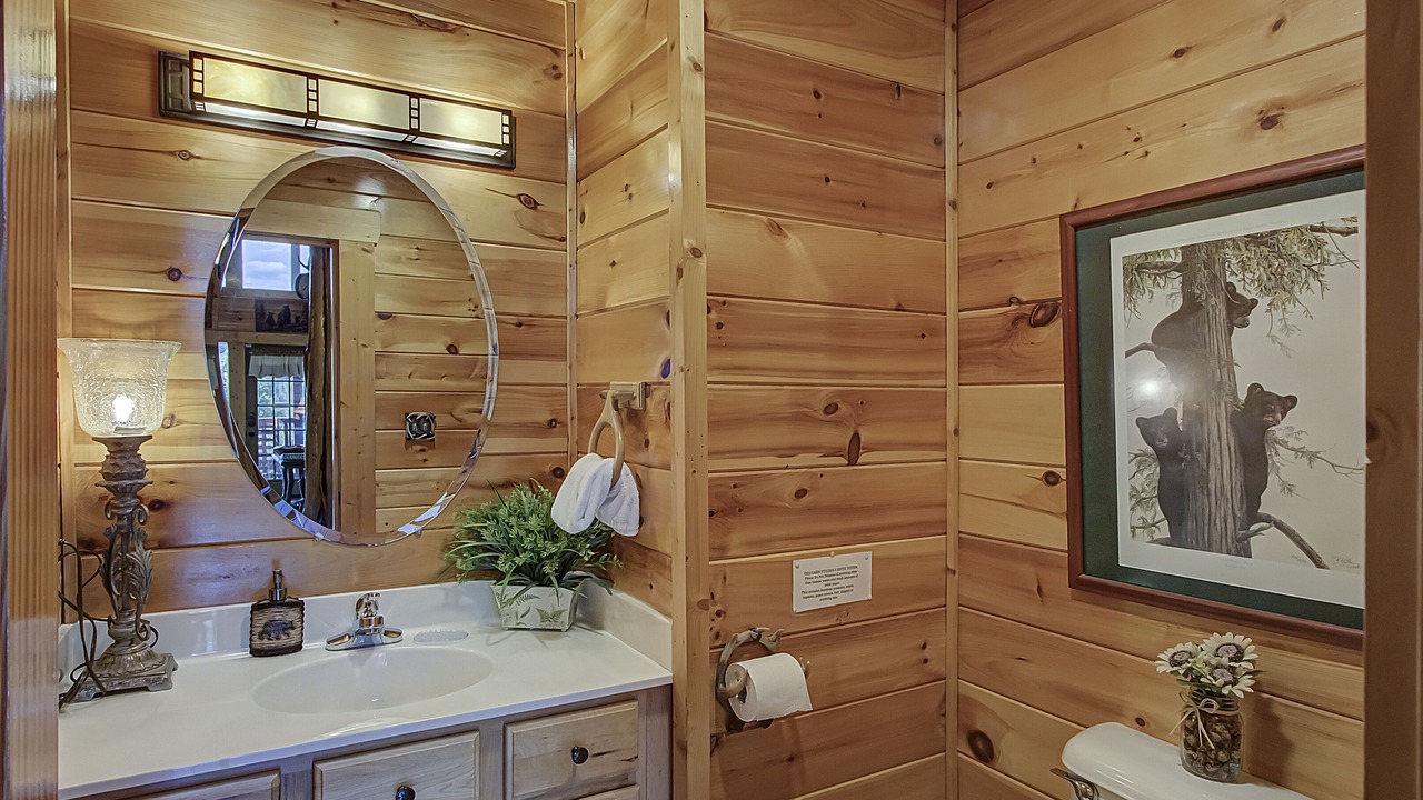 Photo of Bathroom in Sevierville