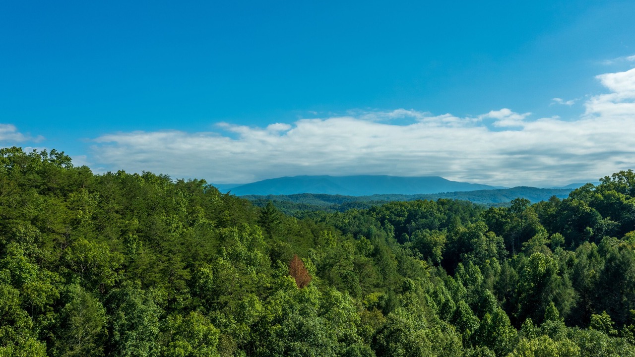 Photo of Others in Sevierville