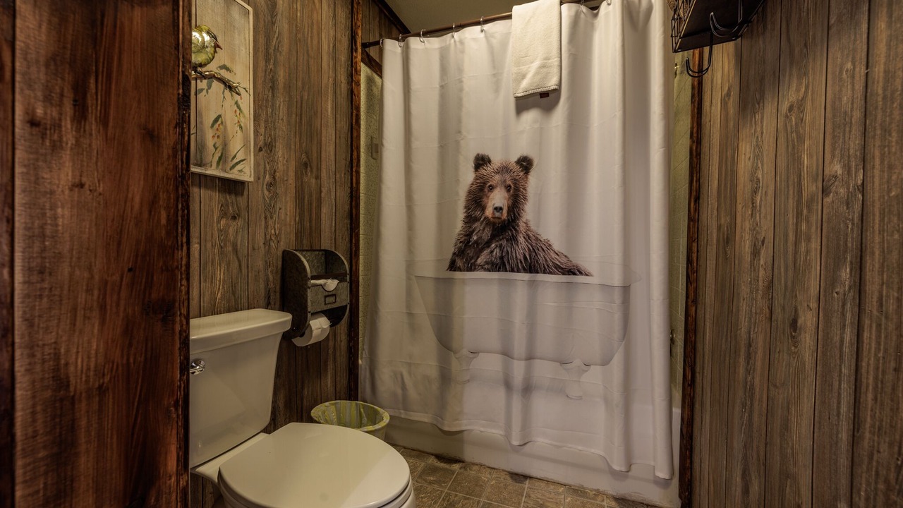 Photo of Bathroom in Gatlinburg