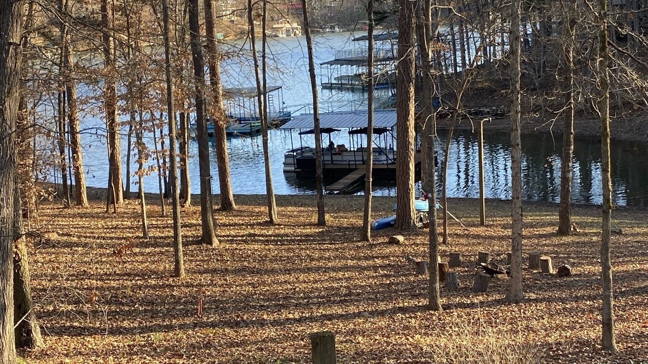 Photo of Others in Martin