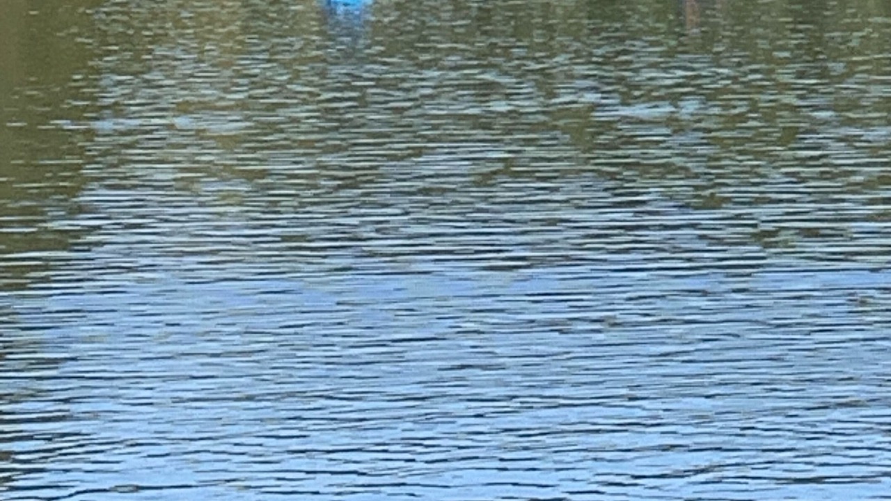 Photo of Others in Martin