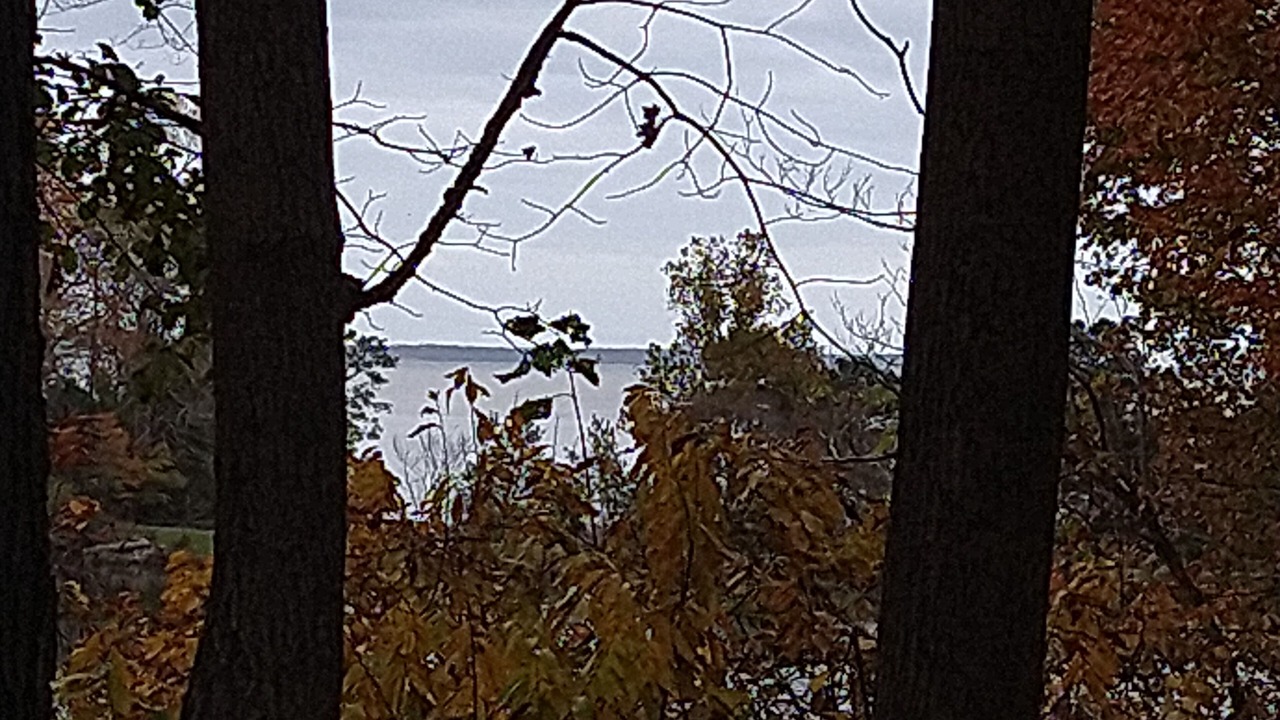Photo of Outdoor in Kingsmill