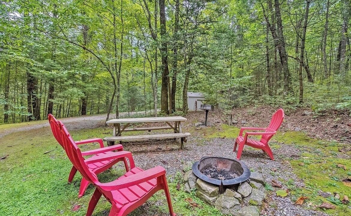 Photo of Outdoor in Brevard